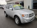 Silver Metallic - Escape Limited 4WD Photo No. 2