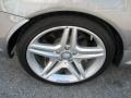 2010 Mercedes-Benz SLK 55 AMG Roadster Wheel and Tire Photo