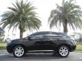 2010 Obsidian Black Lexus RX 350  photo #1