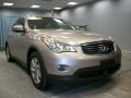 2008 Scarlet Silver Infiniti EX 35 Journey AWD  photo #1