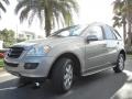 Pewter Metallic - ML 350 4Matic Photo No. 2