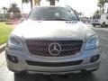 Pewter Metallic - ML 350 4Matic Photo No. 3