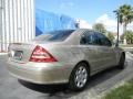 Desert Silver Metallic - C 240 Sedan Photo No. 6