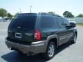 2006 Tamarak Green Metallic Isuzu Ascender S  photo #7