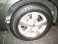 Meteor Gray Metallic - Routan SE Photo No. 4