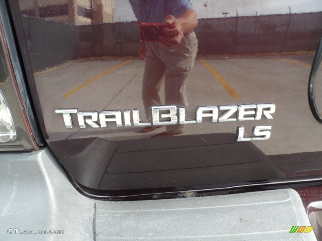 2008 TrailBlazer LS - Dark Cherry Metallic / Light Gray photo #17