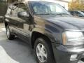 Dark Gray Metallic - TrailBlazer LT Photo No. 7