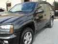 Dark Gray Metallic - TrailBlazer LT Photo No. 8