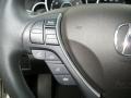 2010 Palladium Silver Metallic Acura TL 3.5 Technology  photo #22