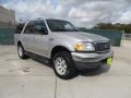 Silver Metallic - Expedition XLT 4x4 Photo No. 1