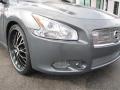 Ocean Gray 2010 Nissan Maxima 3.5 SV Sport Exterior