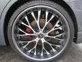 2010 Nissan Maxima 3.5 SV Sport Wheel and Tire Photo