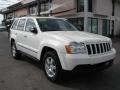 Light Graystone Pearl 2010 Jeep Grand Cherokee Laredo