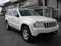 2010 Light Graystone Pearl Jeep Grand Cherokee Laredo  photo #1