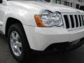 2010 Light Graystone Pearl Jeep Grand Cherokee Laredo  photo #2