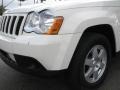 2010 Light Graystone Pearl Jeep Grand Cherokee Laredo  photo #4