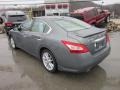 Brilliant Silver - Maxima 3.5 SV Photo No. 3