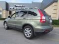 2008 Green Tea Metallic Honda CR-V EX-L  photo #2