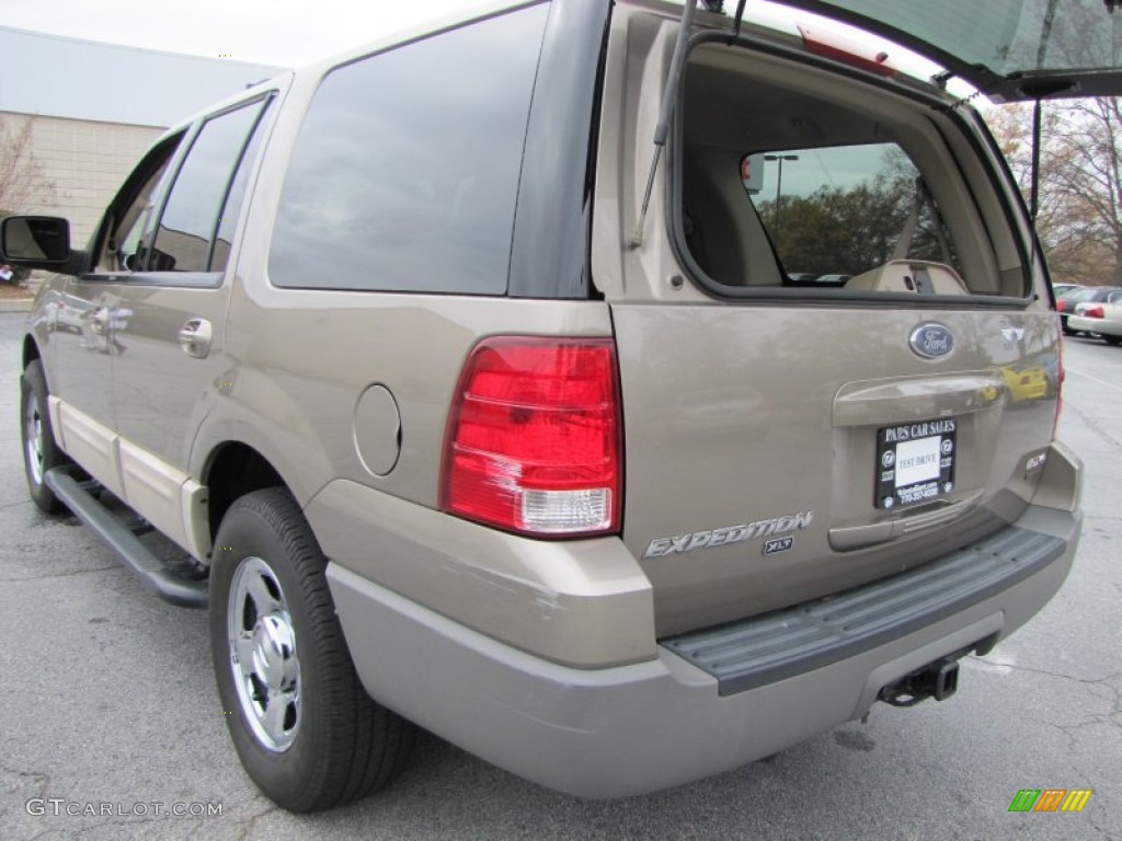 2003 Expedition XLT 4x4 - Arizona Beige Metallic / Medium Parchment photo #9