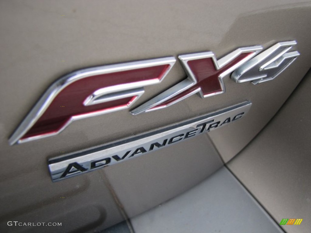 2003 Expedition XLT 4x4 - Arizona Beige Metallic / Medium Parchment photo #12