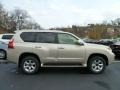 Satin Cashmere Metallic 2012 Lexus GX 460 Exterior