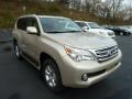 Satin Cashmere Metallic 2012 Lexus GX 460 Exterior
