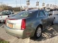 Tuscan Bronze ChromaFlair - CTS 3.0 Sedan Photo No. 3