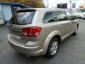 Light Sandstone Metallic - Journey SXT Photo No. 5