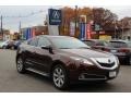 Ionized Bronze Metallic 2010 Acura ZDX AWD Technology