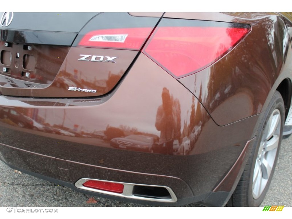 2010 Acura ZDX AWD Technology Marks and Logos Photos