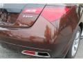 2010 Acura ZDX AWD Technology Marks and Logos