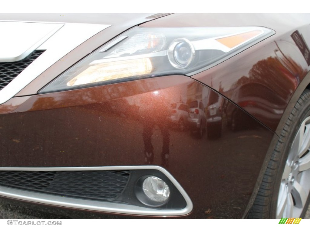 2010 ZDX AWD Technology - Ionized Bronze Metallic / Ebony photo #30