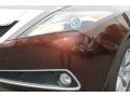 2010 Ionized Bronze Metallic Acura ZDX AWD Technology  photo #30