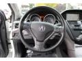2010 Acura ZDX Sumatra Interior Steering Wheel Photo
