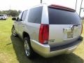 Silver Lining - Escalade Premium AWD Photo No. 18