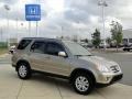 Sahara Sand Metallic - CR-V SE 4WD Photo No. 3