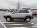 Sahara Silver - Tucson GLS V6 Photo No. 6
