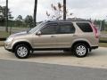 Sahara Sand Metallic - CR-V SE 4WD Photo No. 8