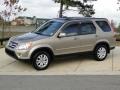 Sahara Sand Metallic - CR-V SE 4WD Photo No. 9