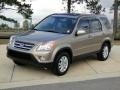 Sahara Sand Metallic - CR-V SE 4WD Photo No. 10