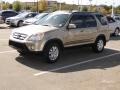 Sahara Sand Metallic - CR-V SE 4WD Photo No. 36