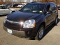 Black Amethyst Metallic 2006 Chevrolet Equinox LT
