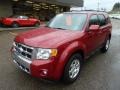 2010 Sangria Red Metallic Ford Escape Limited V6 4WD  photo #8