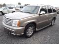 Silver Sand - Escalade AWD Photo No. 8