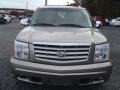 Silver Sand - Escalade AWD Photo No. 9