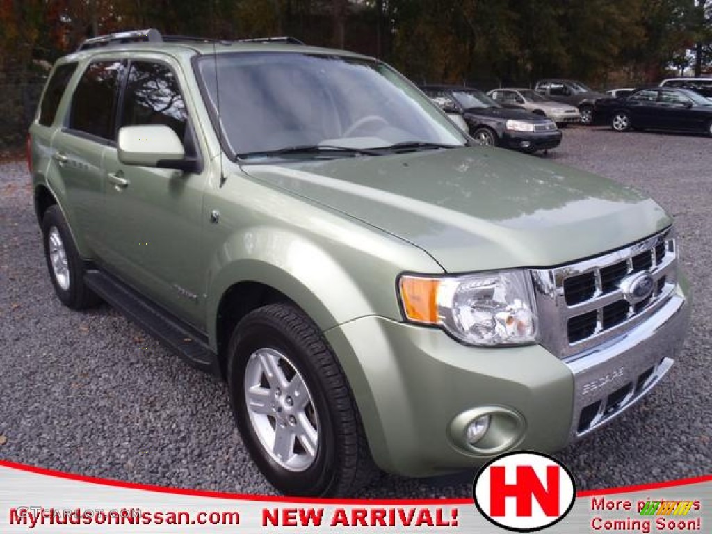 Kiwi Green Metallic Ford Escape