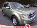 Kiwi Green Metallic 2008 Ford Escape Hybrid