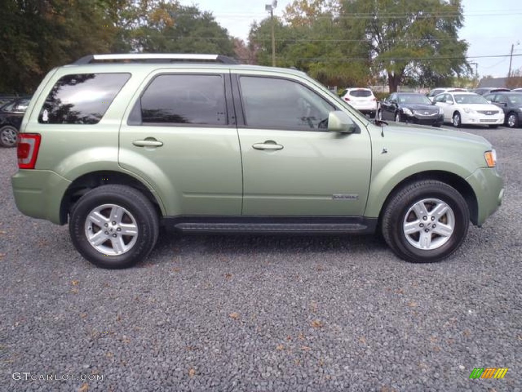 2008 Escape Hybrid - Kiwi Green Metallic / Camel photo #3