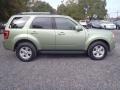 2008 Kiwi Green Metallic Ford Escape Hybrid  photo #3