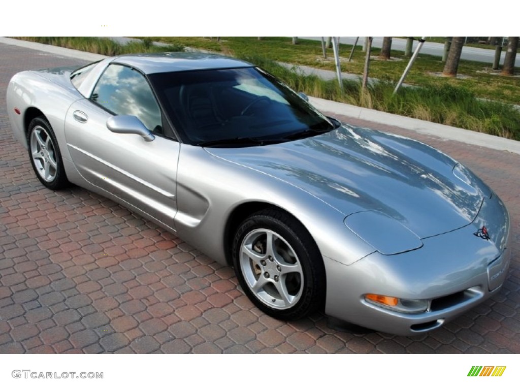 2004 Corvette Coupe - Machine Silver Metallic / Black photo #4
